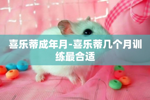 喜樂蒂成年月-喜樂蒂幾個月訓練最合適