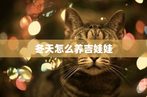 冬天怎么養吉娃娃