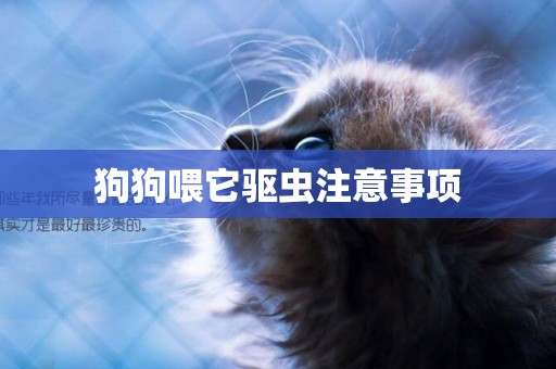 狗狗喂它驅蟲注意事項