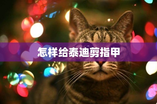 怎樣給泰迪剪指甲