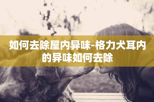 如何去除屋內異味-格力犬耳內的異味如何去除