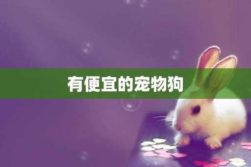 有便宜的寵物狗