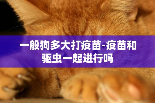 一般狗多大打疫苗-疫苗和驅蟲一起進行嗎