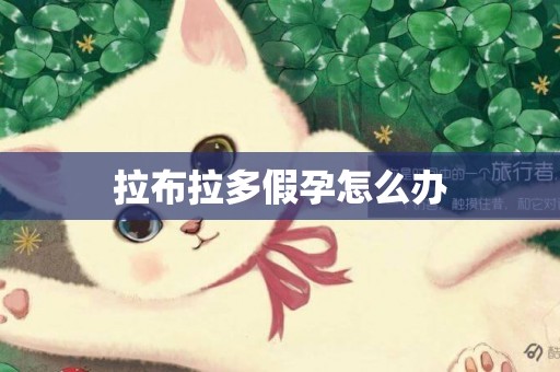 拉布拉多假孕怎么辦