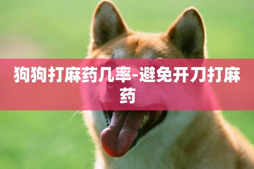 狗狗打麻藥幾率-避免開刀打麻藥