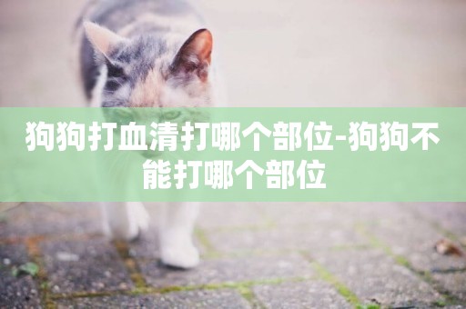 狗狗打血清打哪個部位-狗狗不能打哪個部位