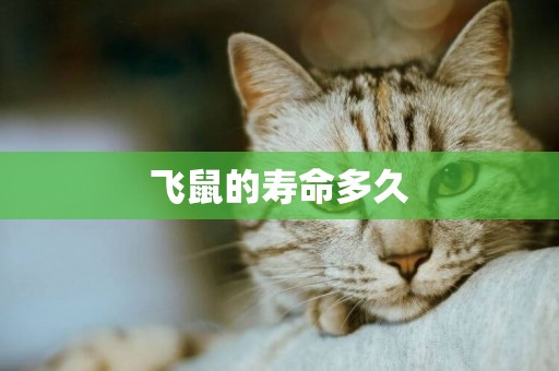 飛鼠的壽命多久
