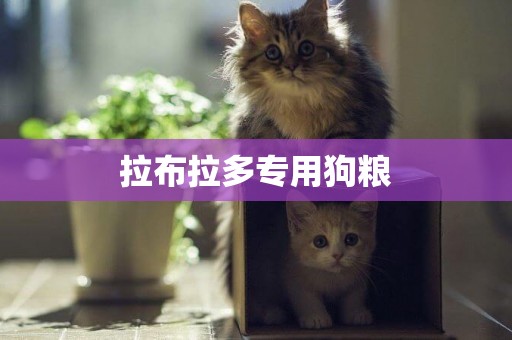 拉布拉多專用狗糧