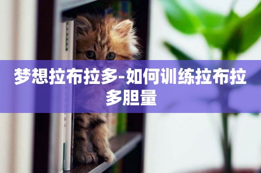 夢想拉布拉多-如何訓練拉布拉多膽量