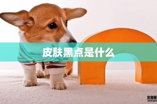 皮膚黑點是什么