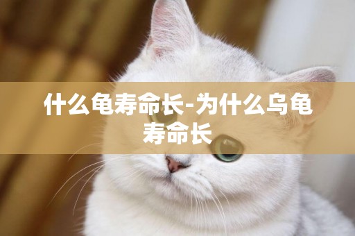 什么龜壽命長-為什么烏龜壽命長