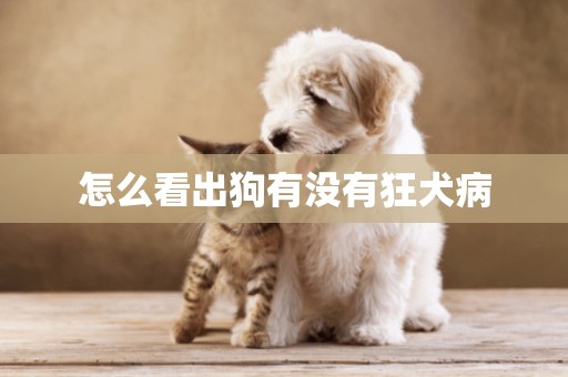 怎么看出狗有沒有狂犬病