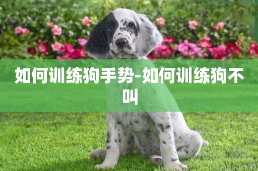 如何訓練狗手勢-如何訓練狗不叫