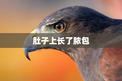 肚子上長了膿包