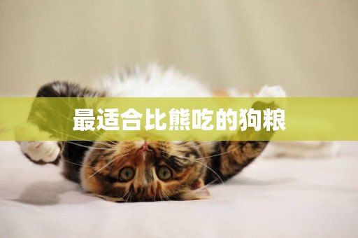 最適合比熊吃的狗糧
