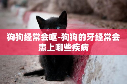 狗狗經常會嘔-狗狗的牙經常會患上哪些疾病