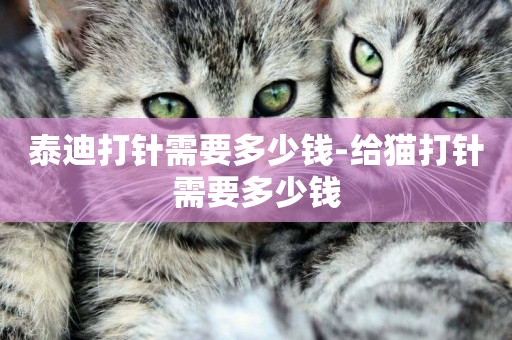 泰迪打針需要多少錢-給貓打針需要多少錢