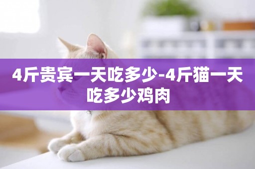 4斤貴賓一天吃多少-4斤貓一天吃多少雞肉