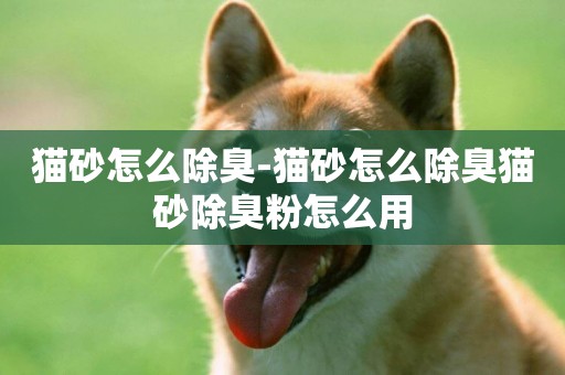 貓砂怎么除臭-貓砂怎么除臭貓砂除臭粉怎么用