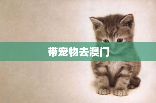 帶寵物去澳門