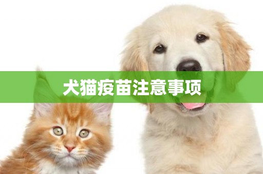 犬貓疫苗注意事項