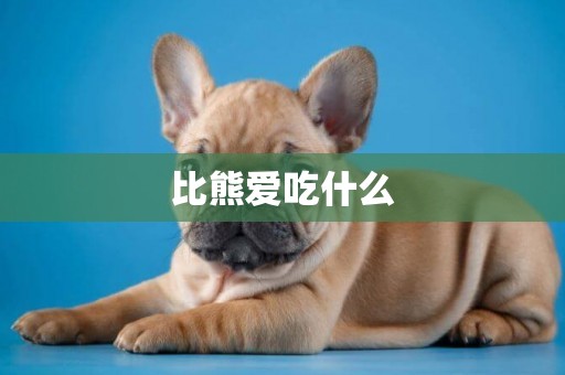 比熊愛吃什么