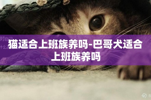 貓適合上班族養嗎-巴哥犬適合上班族養嗎
