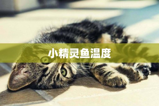 小精靈魚溫度