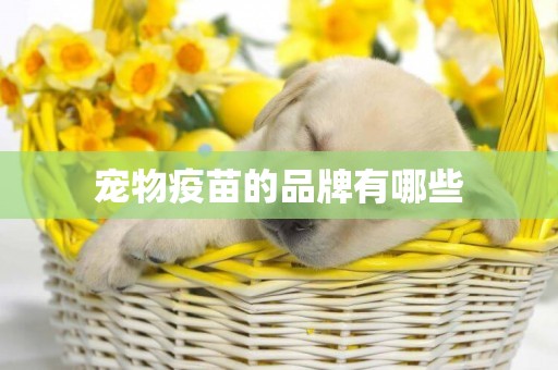 寵物疫苗的品牌有哪些