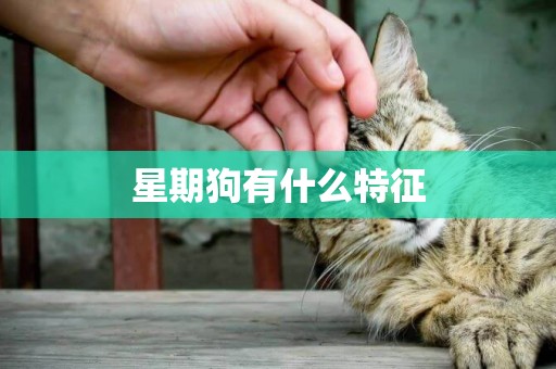 星期狗有什么特征