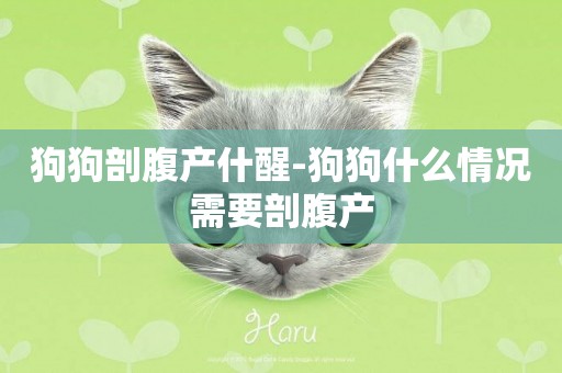 狗狗剖腹產什醒-狗狗什么情況需要剖腹產