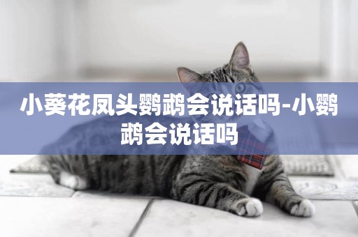 小葵花鳳頭鸚鵡會說話嗎-小鸚鵡會說話嗎