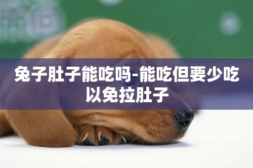 兔子肚子能吃嗎-能吃但要少吃以免拉肚子