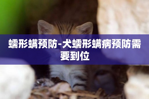 蠕形螨預防-犬蠕形螨病預防需要到位