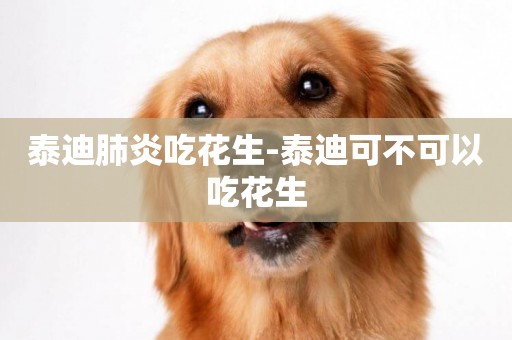 泰迪肺炎吃花生-泰迪可不可以吃花生