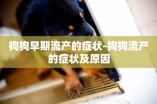 狗狗早期流產的癥狀-狗狗流產的癥狀及原因