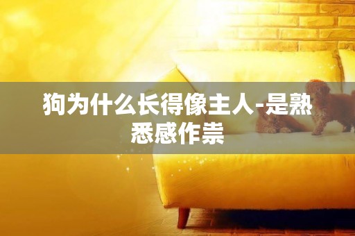 狗為什么長得像主人-是熟悉感作祟