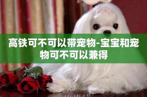 高鐵可不可以帶寵物-寶寶和寵物可不可以兼得