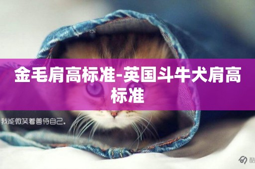 金毛肩高標準-英國斗牛犬肩高標準