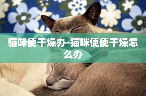 貓咪便干燥辦-貓咪便便干燥怎么辦