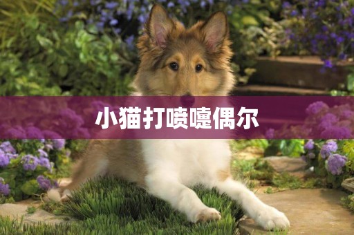 小貓打噴嚏偶爾