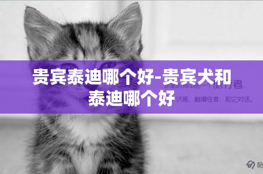 貴賓泰迪哪個好-貴賓犬和泰迪哪個好