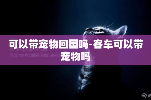 可以帶寵物回國嗎-客車可以帶寵物嗎