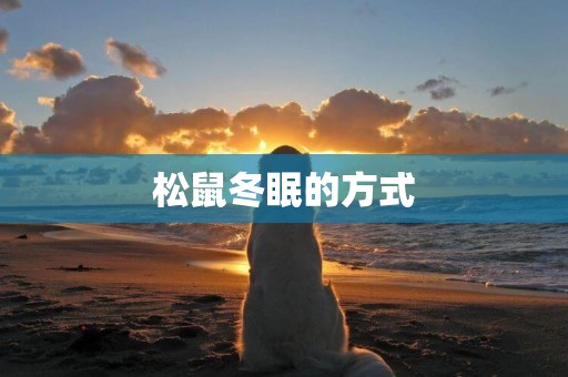 松鼠冬眠的方式