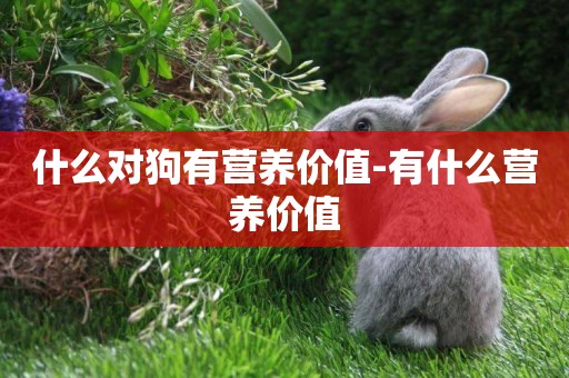 什么對狗有營養價值-有什么營養價值