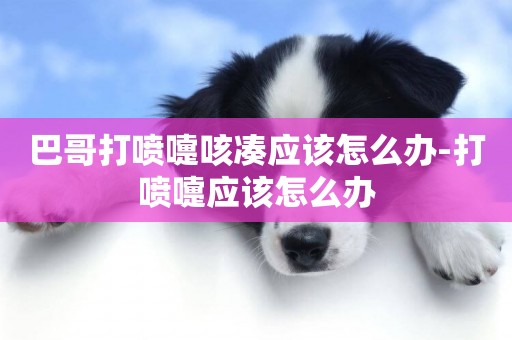 巴哥打噴嚏咳湊應該怎么辦-打噴嚏應該怎么辦