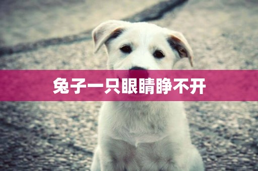 兔子一只眼睛睜不開