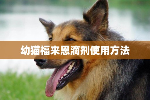幼貓福來恩滴劑使用方法