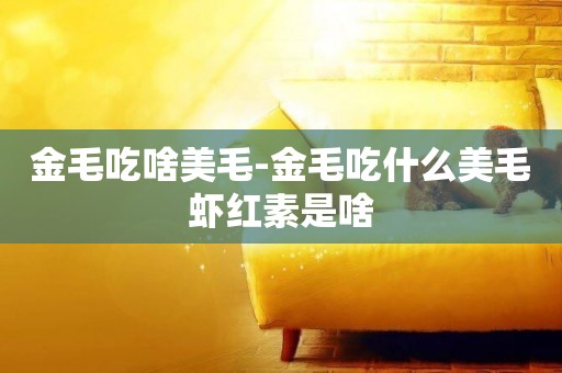 金毛吃啥美毛-金毛吃什么美毛蝦紅素是啥