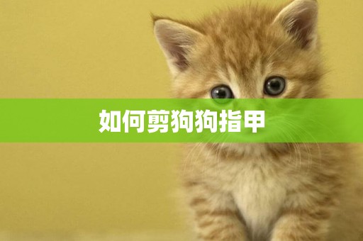 如何剪狗狗指甲